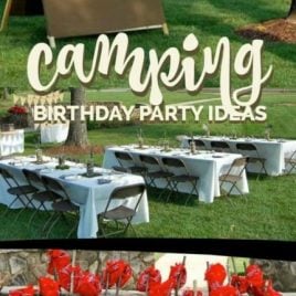 Boys Camping Birthday Party
