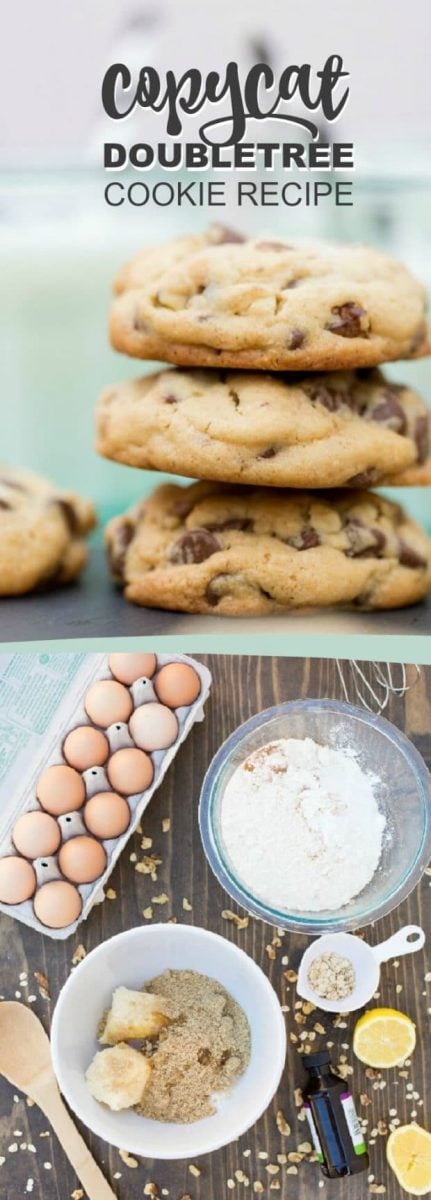 Best doubletree cookie recipe - copycat of the famous cookie recipe from Hilton Doubletree hotels