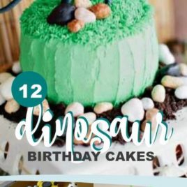 Dinosaur Birthday Party Cakes for Boys