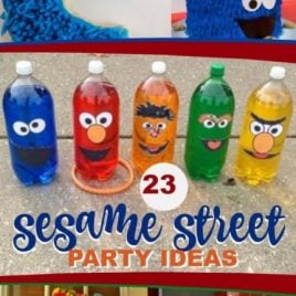 23 Sesame Street Birthday Party Ideas and Party Supplies