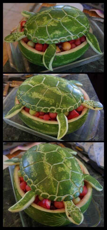 Watermelon Sea Turtle