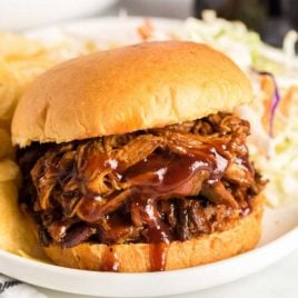 dr pepper pulled pork sandwich on a plate with sides