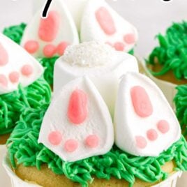 close up shot of cupcakes decorated with grass and bunnies