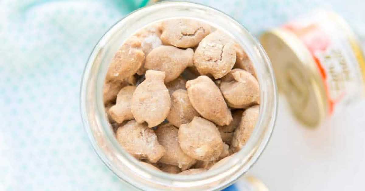 Homemade cat store treats peanut butter