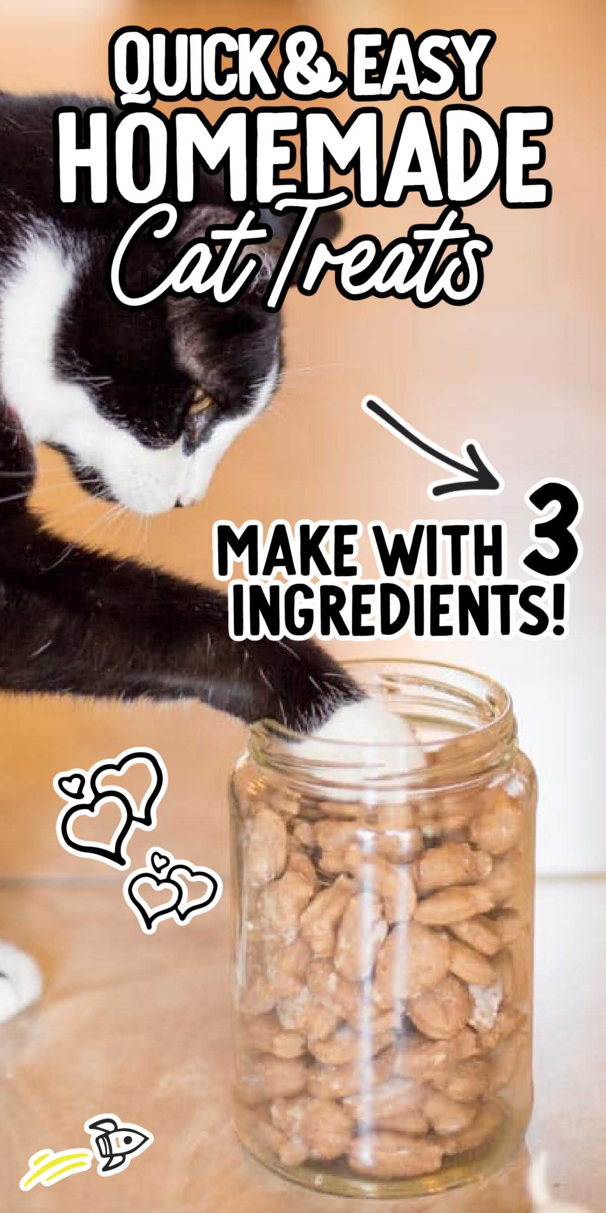 Easy Homemade Cat Treats Spaceships and Laser Beams