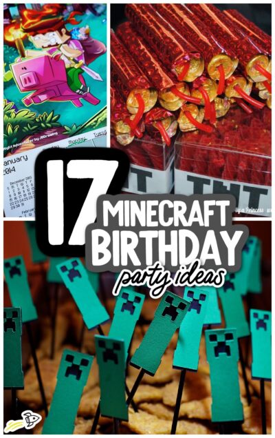 Minecraft birthday party -  Italia