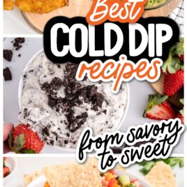 Cold Dips recipes for Parties