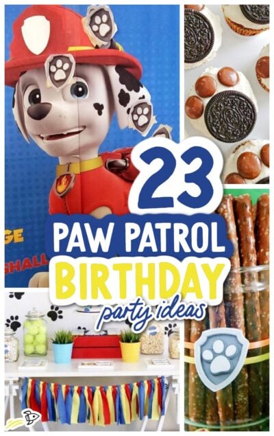 Pin en Paw patrol Birthday party