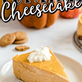 pumpkin cheesecake with gingersnap crust with whipped cream on the top on a white plate with pumpkins in the backgrounds