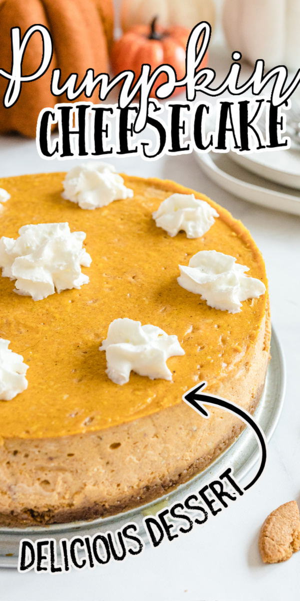 Pumpkin Cheesecake with Gingersnap Crust - Spaceships and Laser Beams