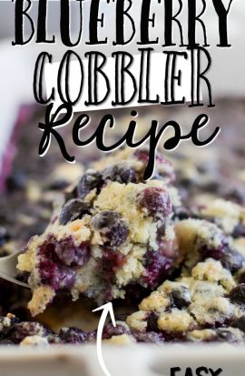 BLUEBERRY COBBLER NA SPOONIE