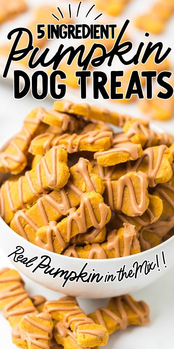 Homemade Pumpkin Dog Treats - Spaceships and Laser Beams