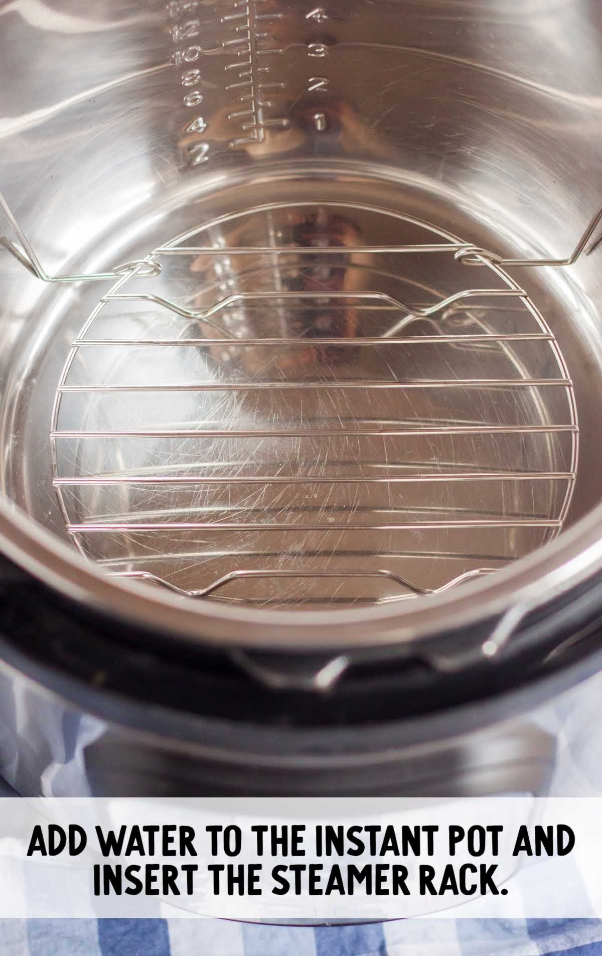 water and steamer rack added to a instant pot