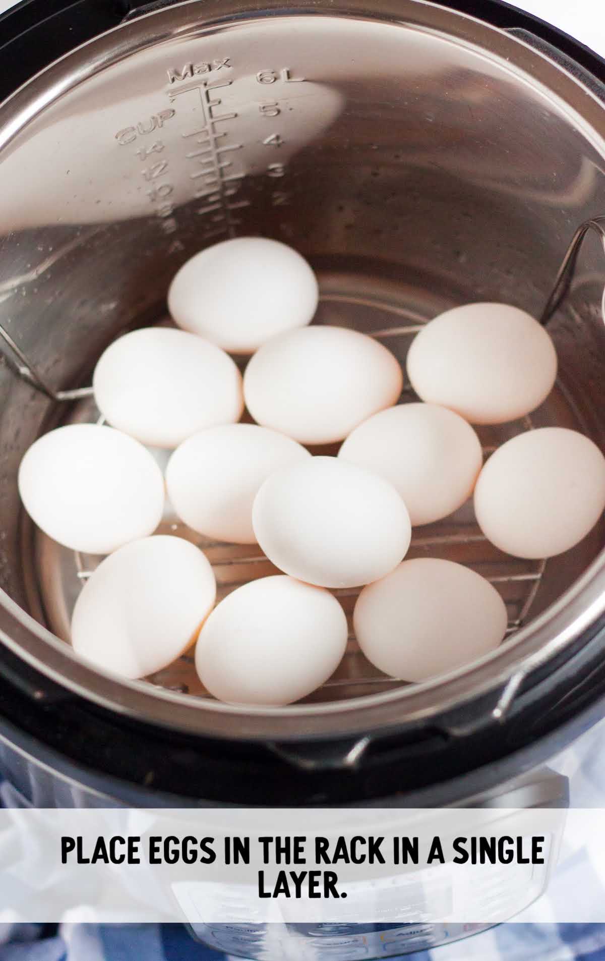 layer of eggs placed on the steamer rack