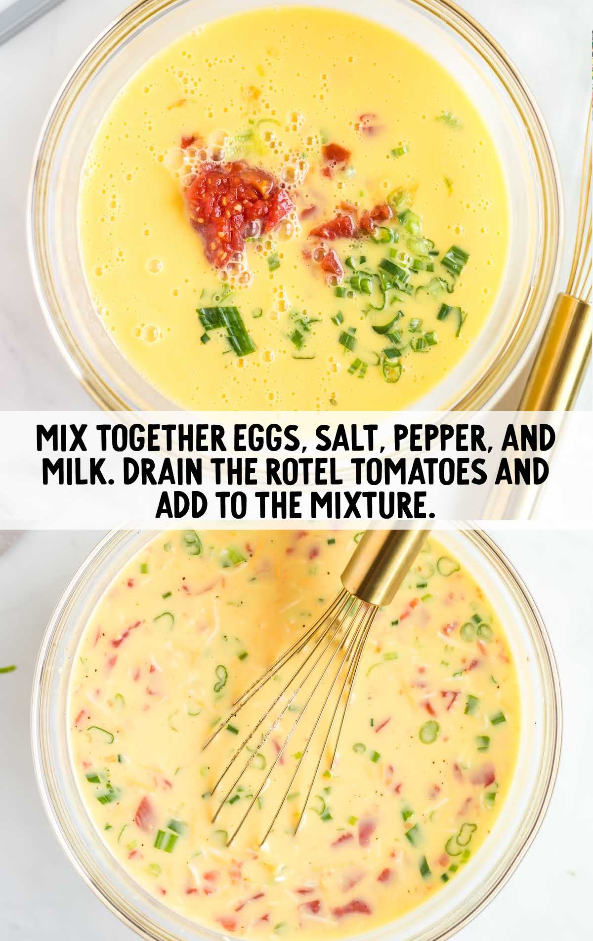 eggs, milk, tomatoes, and seasonings whisked together in a bowl