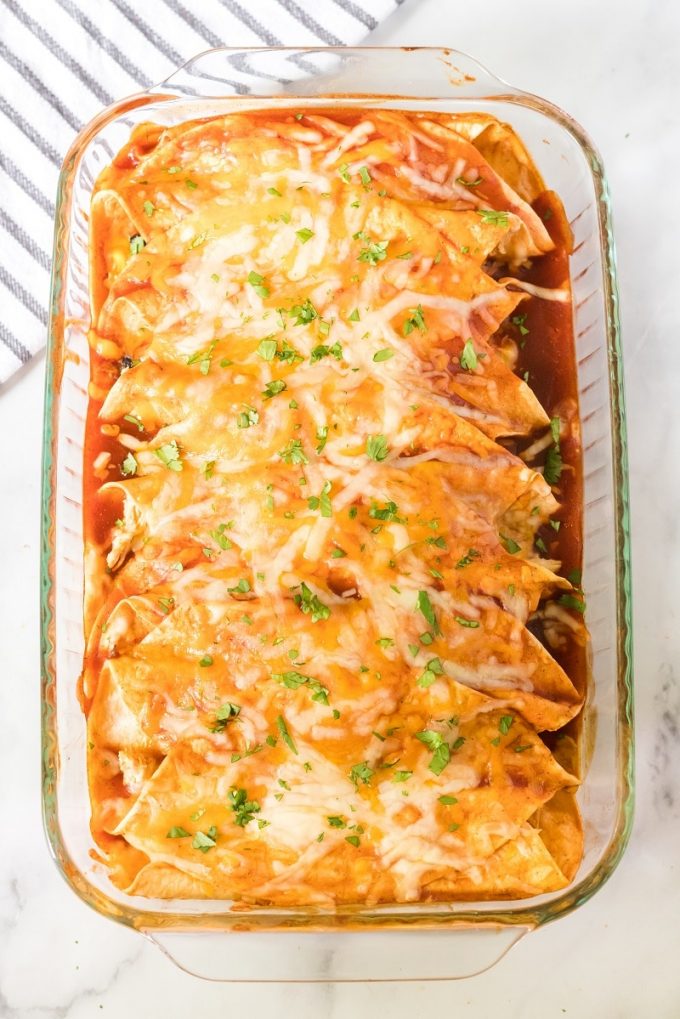 Chicken Enchiladas Spaceships And Laser Beams