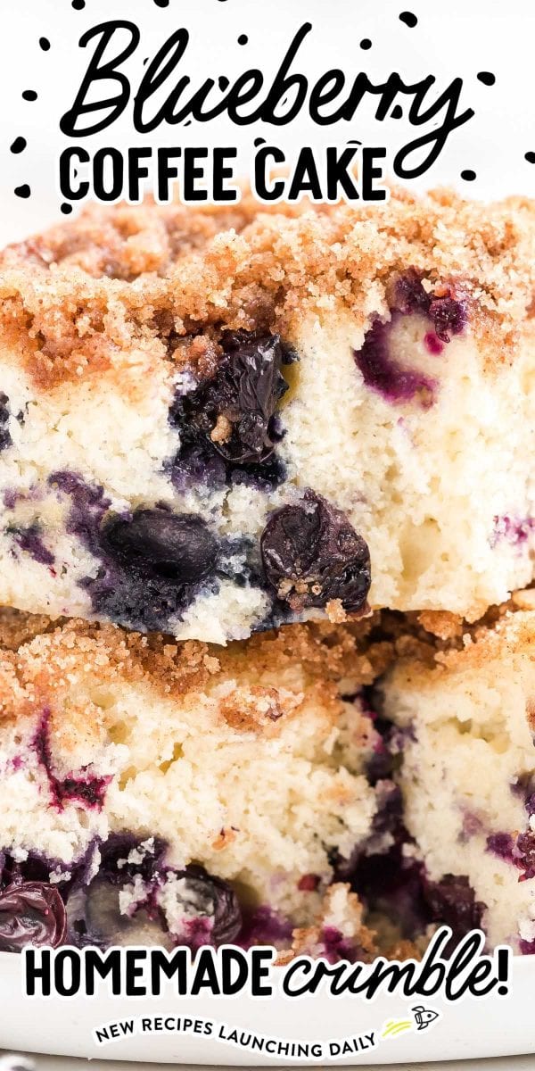 Blueberry Coffee Cake - Spaceships and Laser Beams