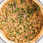 close up overhead shot of Ground Beef Stroganoff topped with parsley in a pot