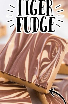 close up shot of tiger fudge layered on a plate