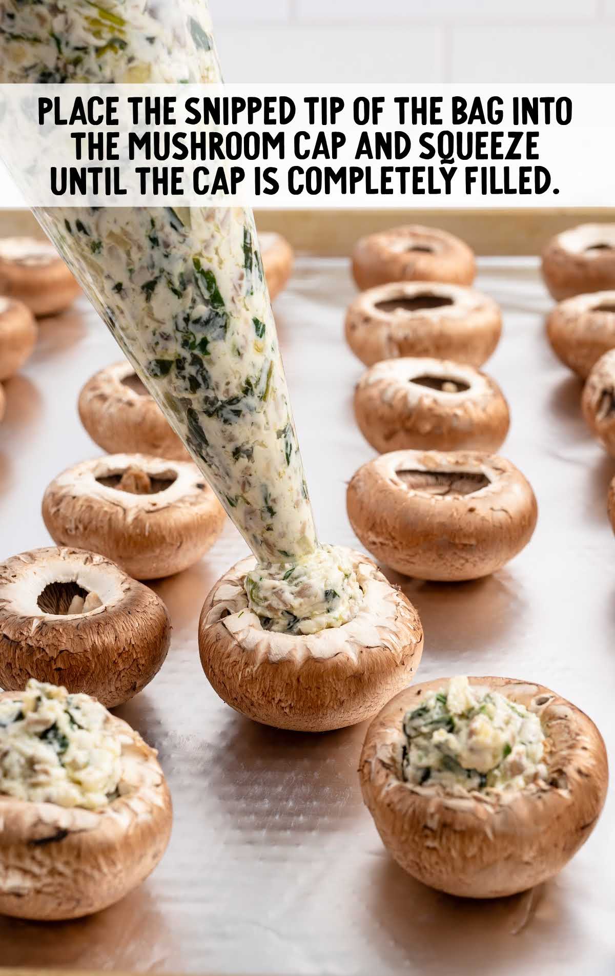 mushroom caps filled with stuffing mixture