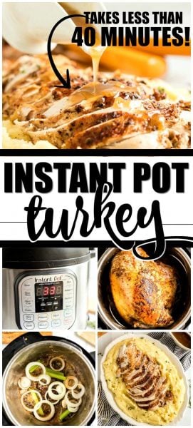 Instant Pot Turkey Breast - Spaceships and Laser Beams