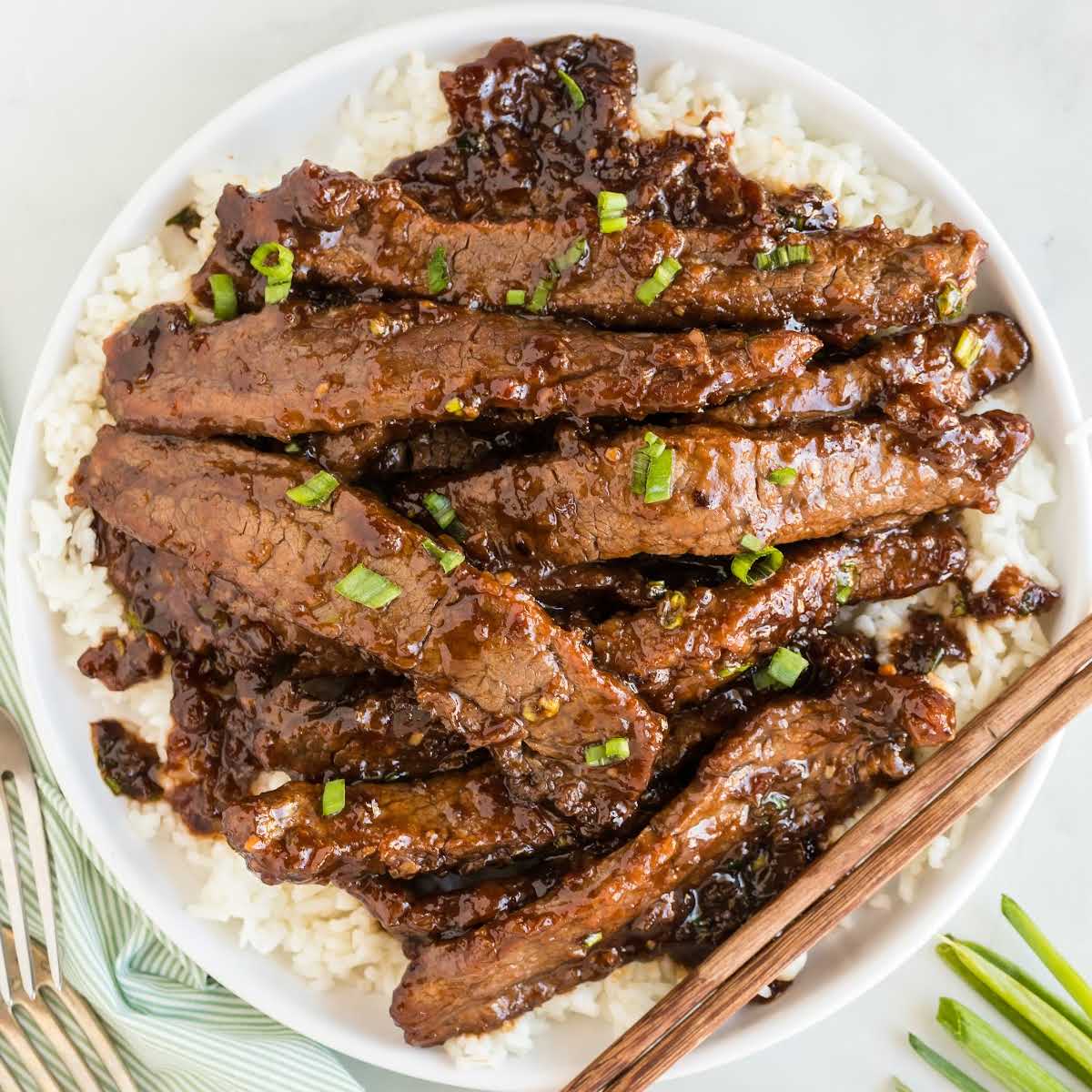 Mongolian Beef Dish - Spaceships and Laser Beams