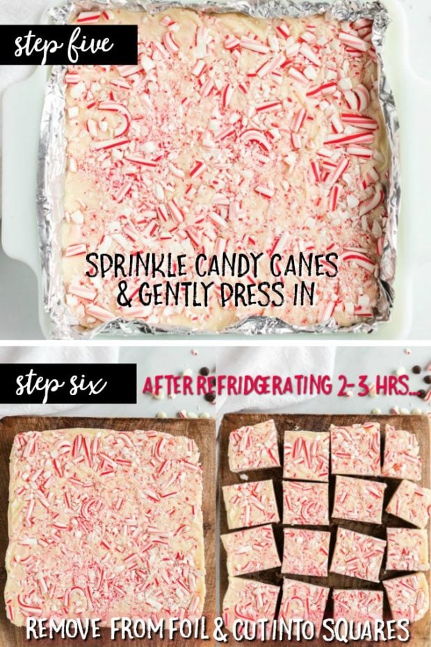 A close up of food, with Fudge and Peppermint