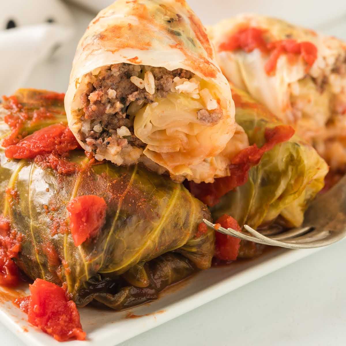 close up shot of a plate of Cabbage Rolls with a fork