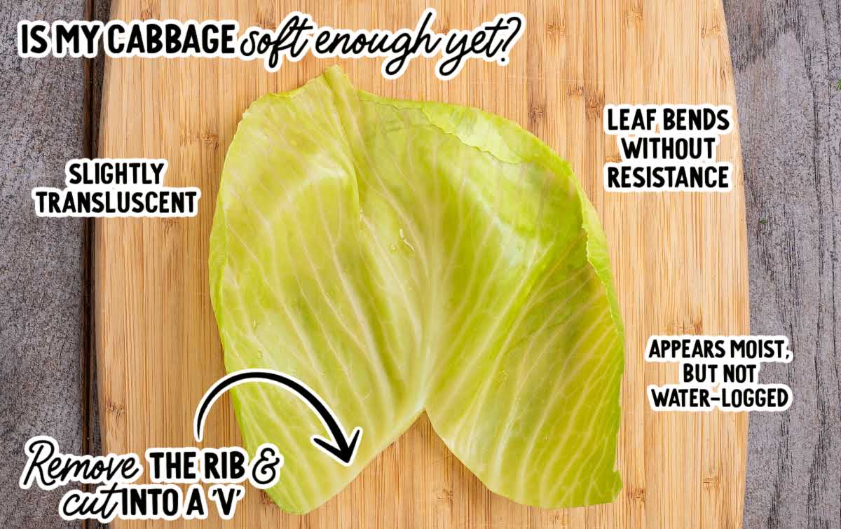 softened cabbage leaf trimmed and ready for rolling