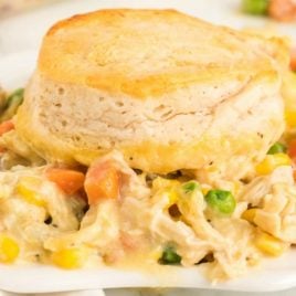 A close up of a plate of food, with Casserole and Chicken