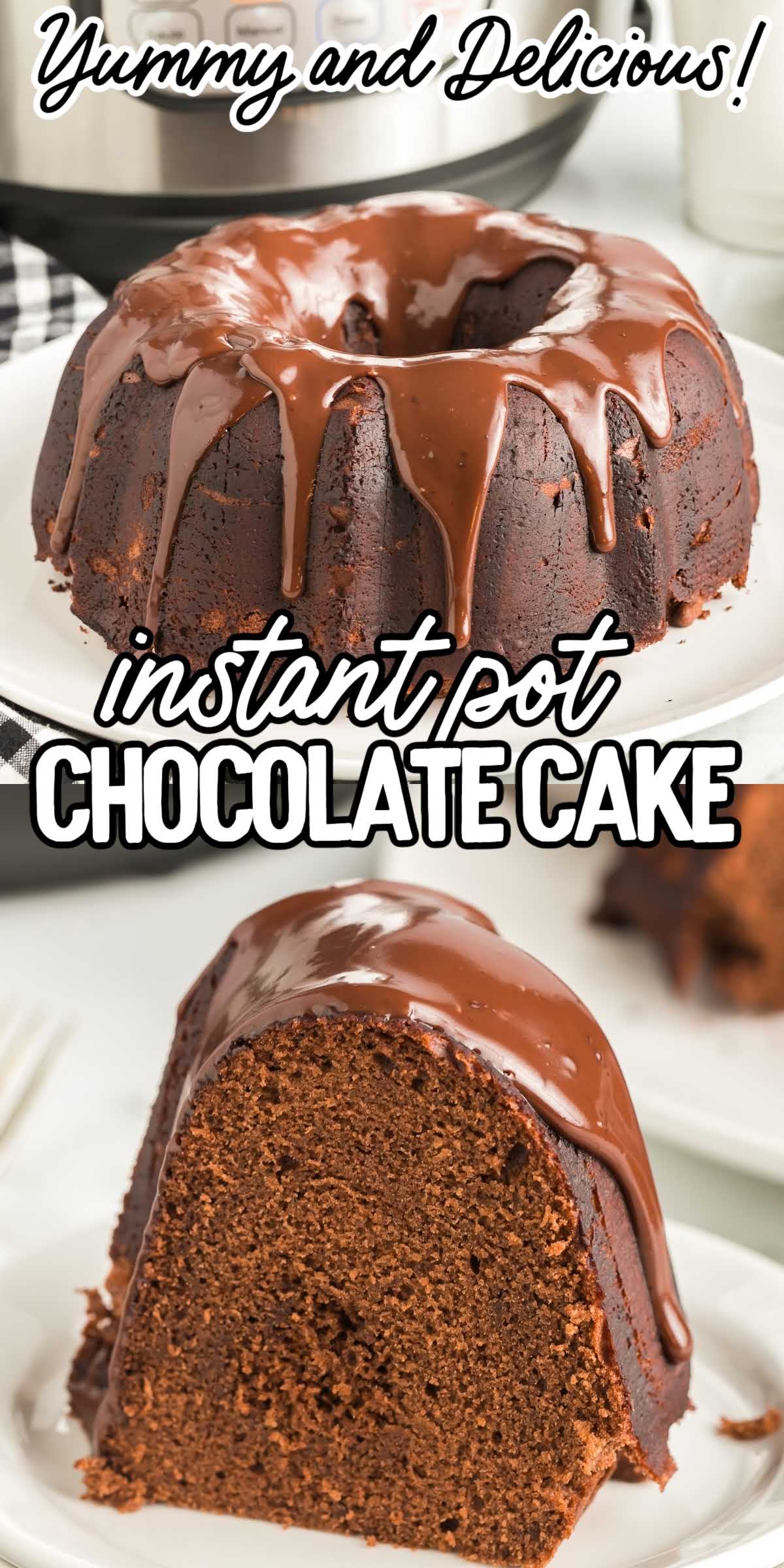 Instant Pot Chocolate Cake - Spaceships and Laser Beams