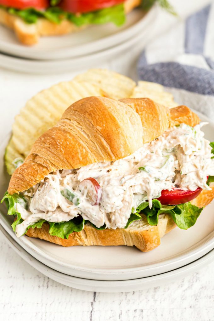 Chicken Salad Sandwich Recipe - Spaceships and Laser Beams