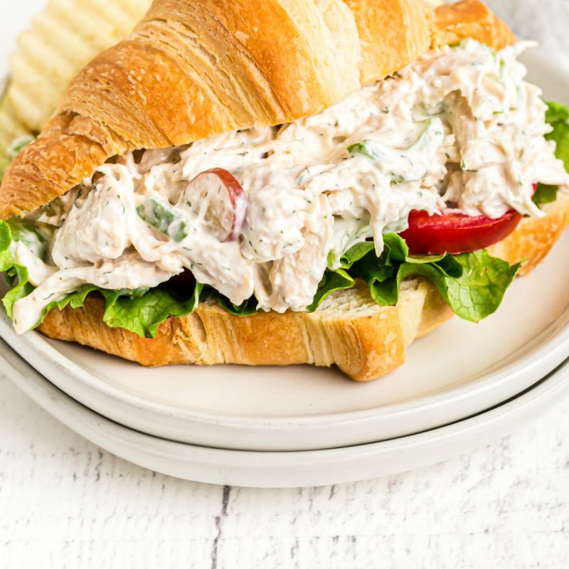 Chicken Salad Sandwich Recipe - Spaceships and Laser Beams