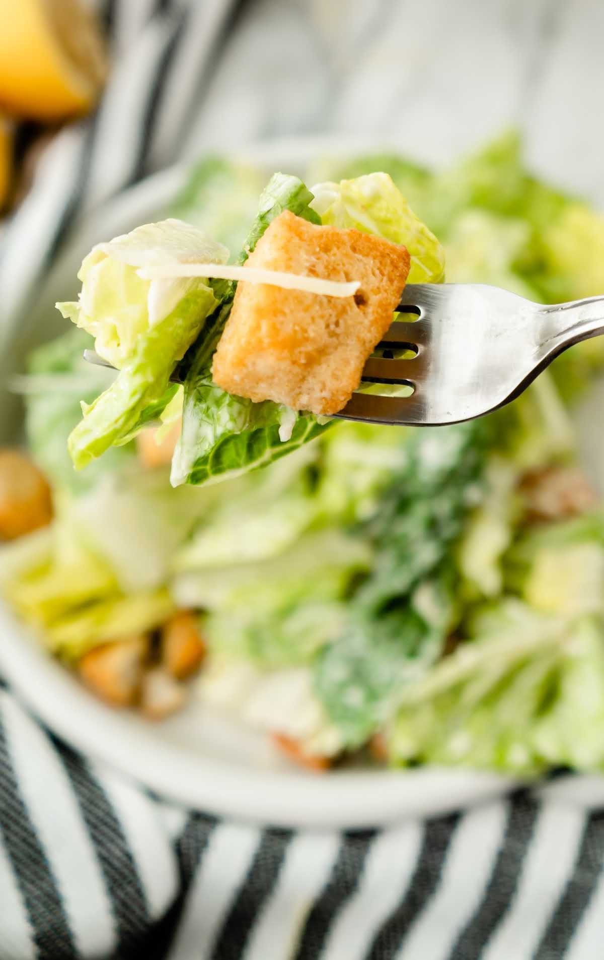 A bowl of salad on a plate, with Caesar salad and Lettuce