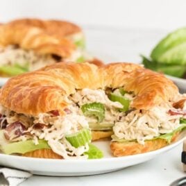 close up shot of a Chicken Salad Sandwich on a plate