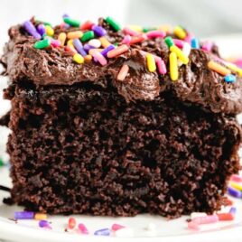 close up shot of a slice of frosted chocolate cake topped with rainbow sprinkles on a plate