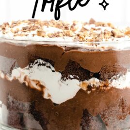 a close up shot of Chocolate Trifle inside a cake stand