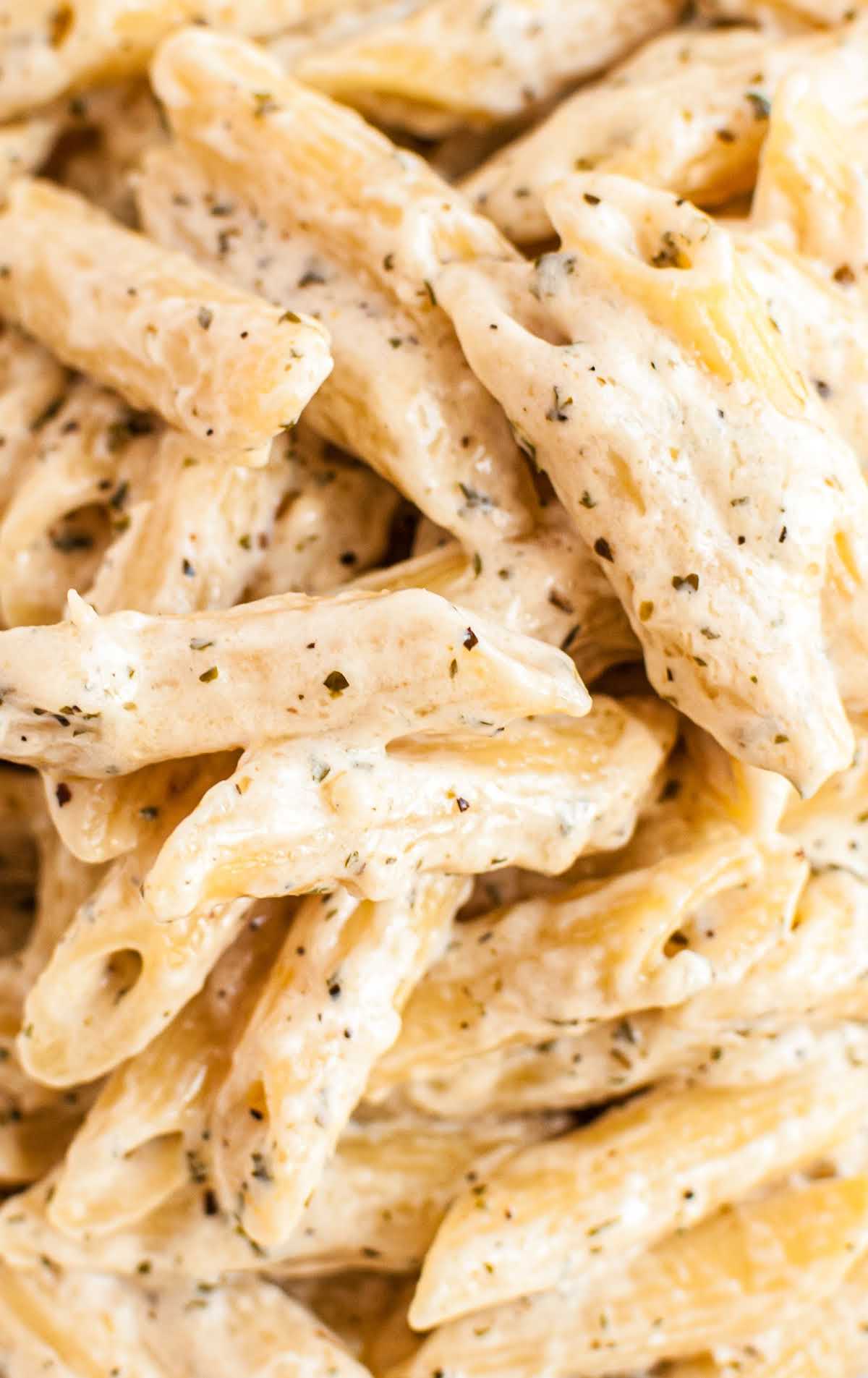 a close up shot of Creamy Garlic Pasta
