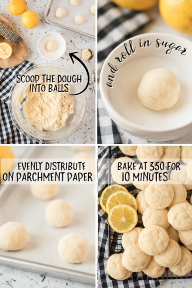 A bunch of food on a plate, with Cookie and Sugar