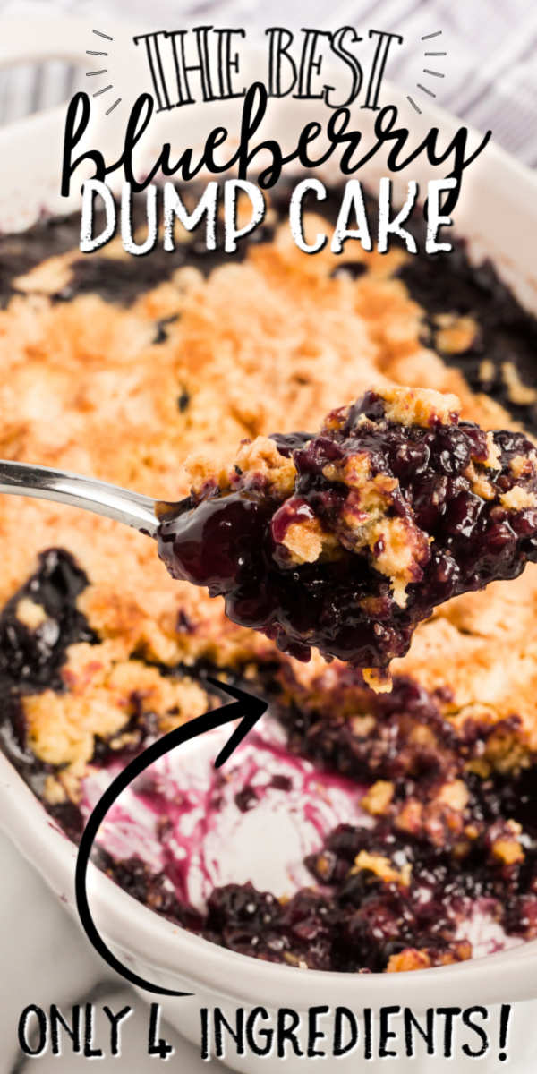 Blueberry Dump Cake - Spaceships and Laser Beams