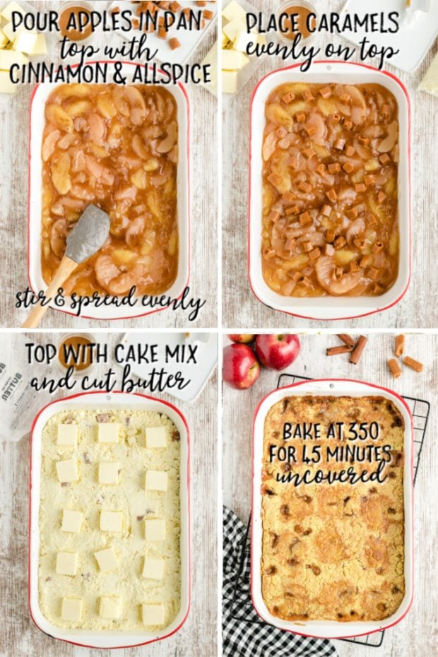 A plastic container of food, with Cake and Apple