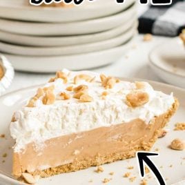 close up shot of a slice of No Bake Peanut Butter Pie topped with whipped cream and chopped peanuts on a plate
