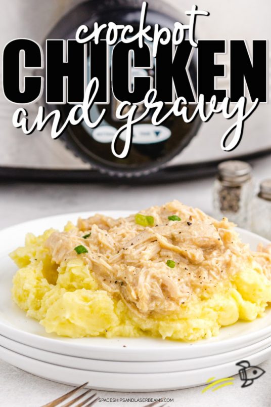 Crockpot Chicken and Gravy - Spaceships and Laser Beams