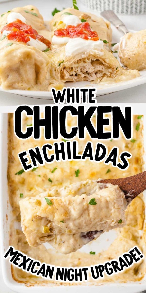 White Chicken Enchiladas - Spaceships and Laser Beams