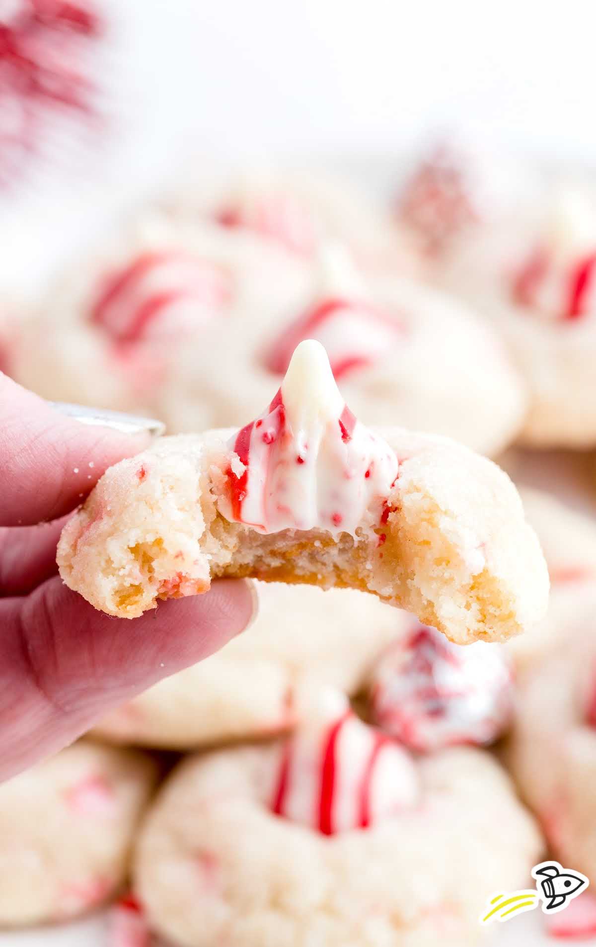 close up shot of candy cane kiss cookies being held with a bite taken out of it