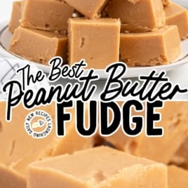 close up shot of a pile of Peanut Butter Fudge on a plate