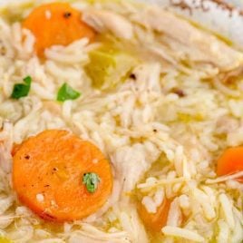 close up shot of a bowl of Chicken and Rice Soup