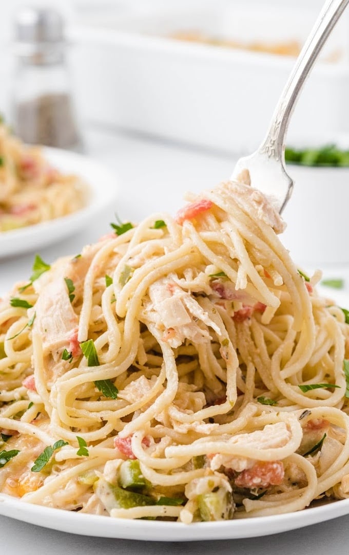chicken spaghetti on a plate garnished with herbs being picked up with a fork