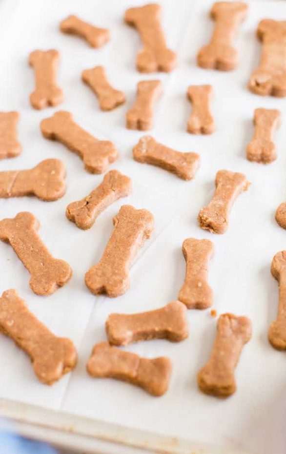 Homemade Dog Treats - Spaceships and Laser Beams