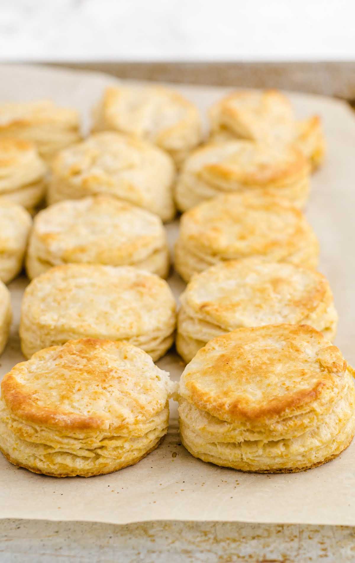 a bunch of buttermilk biscuits